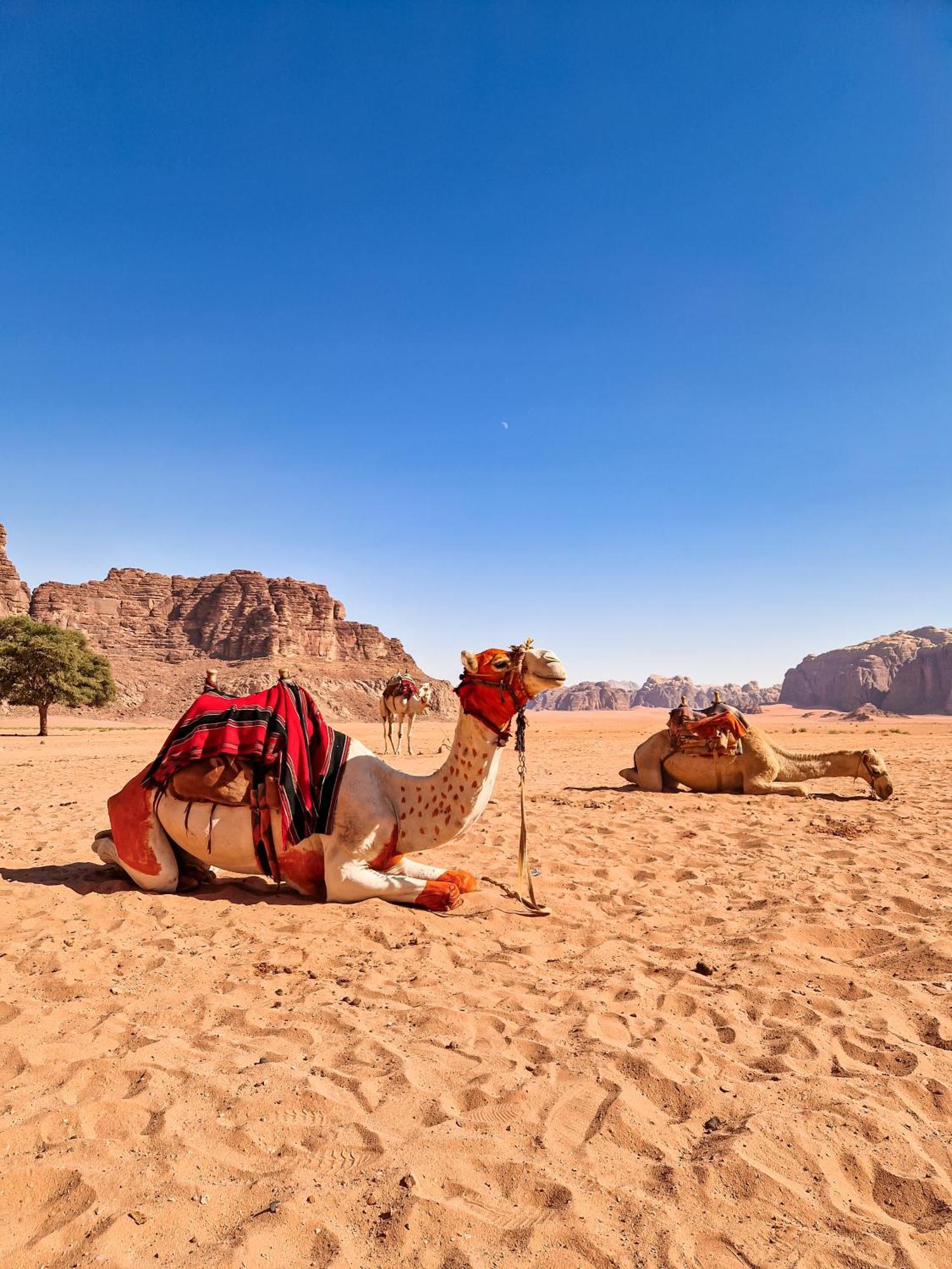 Star City Camp Wadirum Wadi Rum Zewnętrze zdjęcie